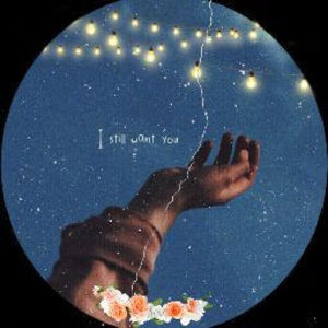 Meet your Posher, Lilly